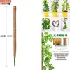 Poste de Soporte para Monstera, Columna Trepadora para Plantas Verdes, Palo de Palmera de Coco, Marco de Fijación para Plantas Verdes, Celosía Trepadora para Plantas, Columna de Palmera, Fibra de Coco