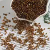 450g Accesorios para Joyería Hecha a Mano DIY Tubos Chapados en Plata de 2 mm Cuentas de Vidrio Bordado a Mano Accesorios para Ropa Al por Mayor