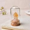 Decoração de espécime de garrafa de vidro mineral de cristal natural fabricantes de produtos quentes transfronteiriços atacado