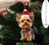 1 Chapéu de Panda Pingente de PC de Natal com Decoração de Natal Ornamento Pendurado Plano Fofo Acrílico 2D Ouro Obsidiana