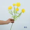 Flores Artificiales con 5 Cabezas de Aciano Rama Única Salón de Bodas Escena Arreglo Decoración Arreglo Floral de Moda Jardinería Vertical Paisaje Estilismo