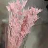 Flor Octogonal Flor Seca Bosque Arreglo Floral Retro Material Floral Hecho a Mano Material DIY Flor Inmortal Pastoral Natural