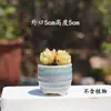 Maceta de Cerámica Suculenta Glaseado de Flujo de Hielo Agrietado Personalidad Simple Cambio de Horno Escritorio Transpirable Decoración Pulgar Maceta Pequeña Fábrica Venta al por Mayor
