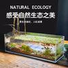 Aquário ultra-branco baixo baixo raso estreito aquário de mesa aquário de tartaruga aquário de musgo aquário hexagonal de dinossauro aquário de exibição de plantas hidropônicas