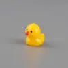 Micro Paisagem de Musgo Criativa Fofa Boneca Pato Pequeno Decoração DIY Miniatura Mini Enfeites de Resina