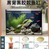 Acuario de Pez Arowana, Acuario de Cristal, Acuario de Escritorio, Filtro para Acuario, Acuario Pequeño para el Hogar, Acuario de Oficina, Acuario de Espalda Negra