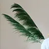 Flores Verdes Eternas, Atmosfera de Primavera, Buquês para Loja, Decoração de Roupas Femininas, Materiais Florais de Galhos Secos, Cena de Arranjo Floral para Recepção