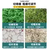 Trituradora eléctrica pequeña para hierba de casa, cortadora de hierba para cría de pollos y patos, picadora de forraje verde, cortadora de heno, trituradora, máquina para alimentar cerdos