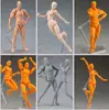Modelo de Pintura para Cuerpo Edición Juvenil 2.0 Cuerpo con Articulaciones Móviles Figura de Dibujo Artístico Muñeco