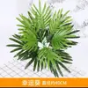Paredes de Plantas Simuladas, Céspedes Artificiales, Decoraciones de Paredes Verdes con Plantas, Paredes de Fondo, Flores Artificiales, Césped Verde de Plástico Artificial al por Mayor