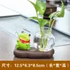 Pesca de rã planta verde vaso hidropônico vidro transparente flores cultivadas em água arranjo de flores vaso de flores decoração de mesa