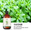 Spray Hidrosol de Verdolaga Menglijiao Tónico Humectante de Molécula Pequeña 500ml Original de Fábrica al por Mayor