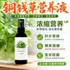 Solução Nutritiva Erva Moeda de Cobre Fertilizante Especial Fertilizante para Plantas Hidropônicas Fertilizante Solúvel em Água para Flores Cultura de Solo Erva Moeda de Cobre Planta de Vaso Doméstica