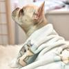 Manta para mascotas al por mayor de fábrica, regalo a juego, manta de franela polar coral para aire acondicionado, manta cálida para perros de generación