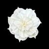 Dália de Grama Aromaterapia de Rattan Feita Sob Medida Flor Decoração Versátil para Casa Flores Secas Artesanais Podem Ser Perfuradas e Equipadas com Hastes