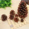 Venta al por mayor de fábrica de piñas decorativas de varios tamaños de 1 a 18 cm, piñas de flores secas, piñas al aceite con tallos para decoraciones navideñas