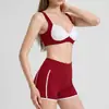Conjunto de Yoga Color Block Transfronteiriço para Mulheres, Lindo Design nas Costas, Top Esportivo de Yoga à Prova de Impacto, Shorts de Yoga de Cintura Alta, Levanta Bumbum