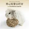Juguete de Pelota de Hierba con Cascabel para Conejo Mascota Bola para Masticar Conejo Chinchilla Bola Tejida de Hierba Juguete para Masticar Cobaya Suministros para Mascotas Bola de Hierba