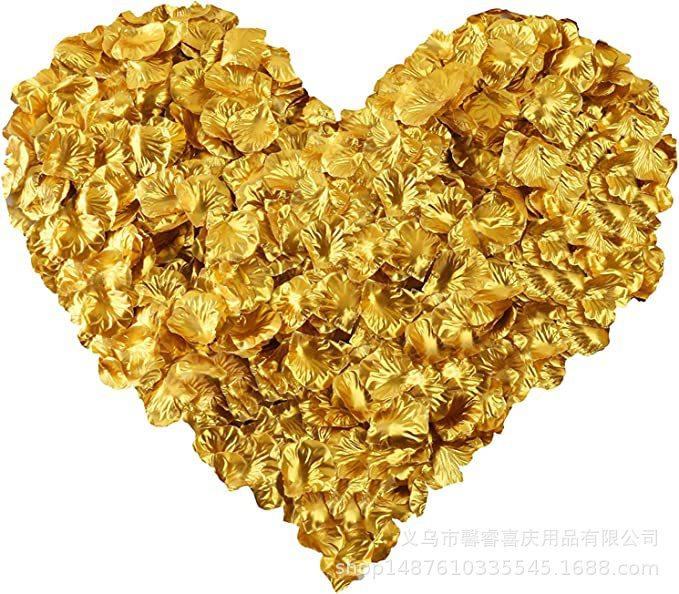 81yMfxPrviL._AC_SX679_