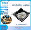 Lactobacillus Subtilis 10 Bilhões UFC/G-50 Bilhões UFC/G Probióticos Ativos, Orgânicos e Disponíveis em Estoque