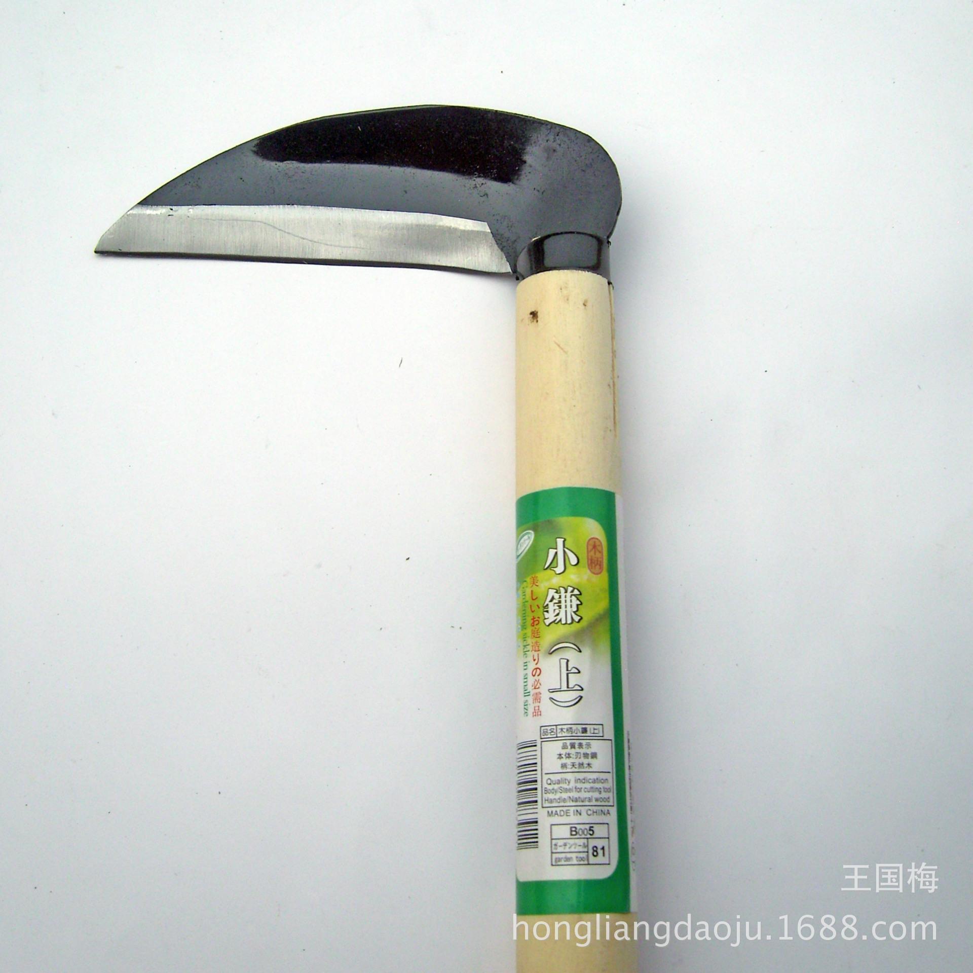 DSCI0048