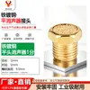Plugue Hexagonal, Silenciador de Plástico, Cônico Longo de Cobre Aço Inoxidável 304 Silenciador de Válvula Solenoide Pneumática 1/8