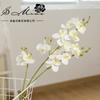 Flor artificial trigémina tacto película 3D Phalaenopsis suministros para arreglos florales DIY planta artificial fabricantes suministro directo flores falsas