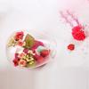 Mxmade jarrón de cristal transparente de apertura lateral creativa estilo europeo contenedor para plantas suculentas hidropónicas flores micro paisajismo