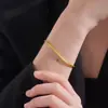 Corrente Osso de Cobra Dourado Areia Retro de Luxo Leve, Pulseira Banho de Ouro Fina de Nicho, Estilo Hip-Hop, Unissex, Sensação de Alto Padrão