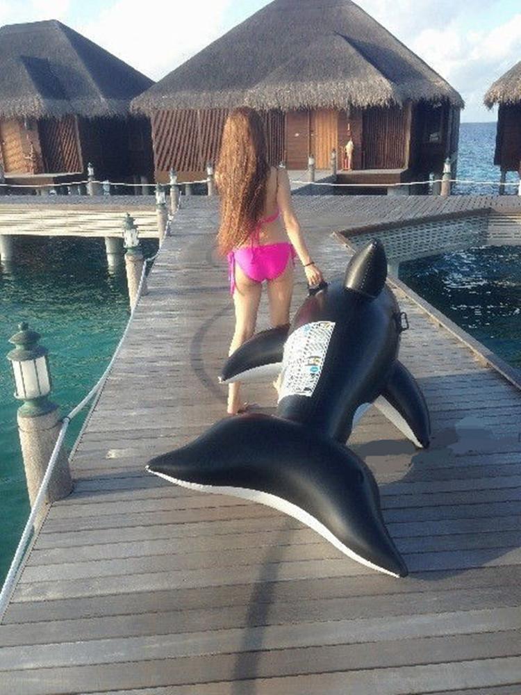 T2M8gzXfFXXXXXXXXX_!!247519950