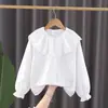 Camisa Branca de Algodão Puro para Meninas, Camisa Infantil, Novo Estilo 2026, Gola Grande de Pérola, Blusa para Bebês e Crianças Pequenas, Roupa de Primavera