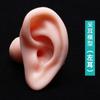 Modelo de Oreja de Silicona Oreja Artificial Realista Recogida de Oreja Enseñanza Silicona Suave Conducto Auditivo Largo 1:1 Oreja Falsa