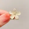Presilha Pequena de Garra em Formato de Letra, Presilha de Cabelo Meia Pinça, Piranha Lateral de Alto Padrão e Requintada, Presilha para Franja, Pequena Presilha de Tubarão, Acessório de Cabelo, Adorno de Cabeça