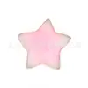 2023 Nueva Paleta de Colores para Uñas Color Estrella Japonesa Película de Ágata de Resina Paleta de Colores Uñas Completas Exhibición de Posavasos Phnom Penh