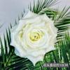 Simulação cabeça de flor rosa flanelada vermelha corsage casamento casa adereços para fotos enfeites de flores enfeites de flores flores artificiais transfronteiriças atacado