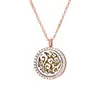 Collar Difusor de Aromaterapia para Mujer, Colgante Hueco en Oro Rosa, Puede Contener Aceites Esenciales, Apertura y Cierre Magnéticos, Venta al por Mayor de Joyería