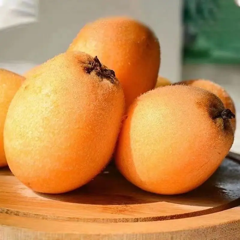云南蒙自枇杷详情图