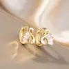 Moda Europeia e Americana Mais Vendida Brincos de Cisne em Zircônia Cúbica de Alta Qualidade Brincos Clássicos Super Brilhantes Versáteis da Moda com Temperamento