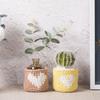 Conjunto de xícaras tecidas à mão sala de estar escritório casa interior plantas suculentas flor varanda ornamentos fabricantes atacado