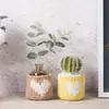 Porta-copo trançado à mão sala de estar escritório casa interior planta suculenta vaso de flores varanda ornamentos fabricante atacado