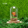 Venta al por mayor de fábrica Piedra Bruta de Cristal Natural Muestra de Mineral para Niños Divulgación Científica Enseñanza Piedra Semipreciosa Adorno de Escritorio para el Hogar