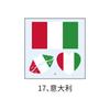 Copa Mundial Transfronteriza Impermeable y Respetuoso con el Medio Ambiente Pegatina de Tatuaje Facial con Bandera Mundial Juegos Competición Animación Pegatina de Tatuaje