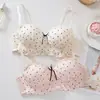 Conjunto de sutiã de renda com laço sem fio, meia-taça doce de bolinhas para busto pequeno, push-up, lindo conjunto de sutiã para as costas