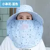 Chapéu de Sol de Verão para Uso Externo, Chapéu com Protetor Solar Removível, Chapéu de Sol Feminino Fashion com Aba Larga, Chapéu para Colheita de Chá ao Ar Livre para Trabalhar no Campo