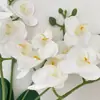 Orquídea Phalaenopsis Artificial de 5 Ramas para Exhibición en Sala de Estar, Orquídea Falsa en Maceta con Textura de PU, Flor Decorativa para el Hogar
