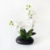 Película Impresa en 3D Nueva 12 Flores Phalaenopsis Bonsái Flor Fábrica Suministro Directo Moda Decoración del Hogar