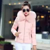 Nuevo Abrigo Corto de Algodón para Mujer Otoño/Invierno 2025 con Cuello Grande de Piel, Estilo Coreano, Chaqueta de Algodón para Mujer Tallas Grandes