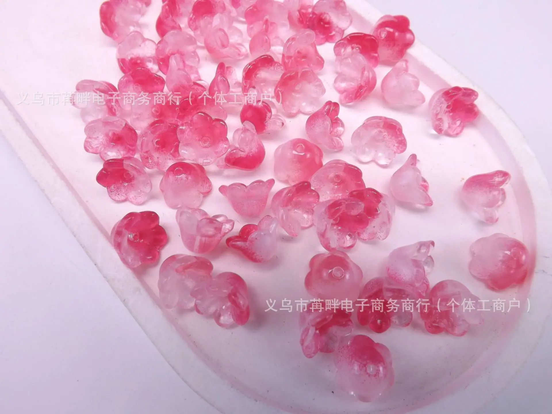 DSCF7221