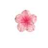 Flor Transparente Flor de Cinco Pétalos Joyería de Resina Accesorios DIY Funda de Teléfono Flor para Zapatos Materiales Pinza para el Cabello Diadema Parche Decoración