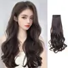 Peluca de Extensiones de Cabello con Dos Clips para Mujeres con Cabello Largo Celebridad de Internet Extensiones de Cabello Invisibles de Una Pieza Peluca de Seda Alta Mate Venta al por Mayor
